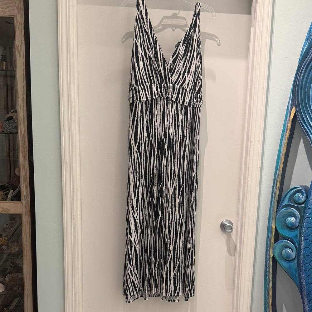 Chelsea & Theodore Zebra Print Maxi Dress